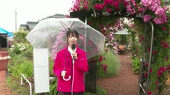 250612 NOWレポート 小林バラ園が今年も見ごろ