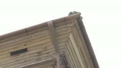 旧大沢小学校 一般公開